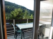 Vosges Mountains vacation rentals: appartement # 119863