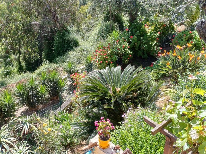 photo 14 Owner direct vacation rental Menton maison Provence-Alpes-Cte d'Azur Alpes-Maritimes Garden