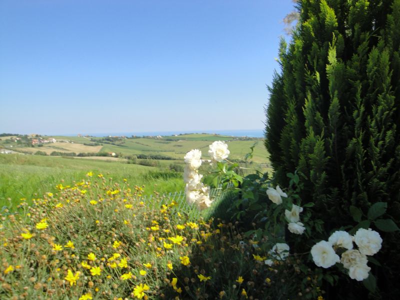 photo 4 Owner direct vacation rental Pesaro appartement Marche Pesaro Urbino Province View of the property from outside