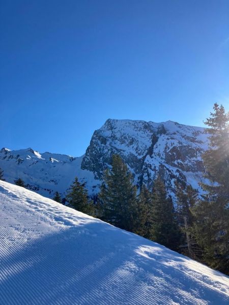 photo 16 Owner direct vacation rental Manigod-Croix Fry/L'tale-Merdassier studio Rhone-Alps Haute-Savoie Surroundings