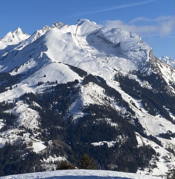 photo 19 Owner direct vacation rental Manigod-Croix Fry/L'tale-Merdassier studio Rhone-Alps Haute-Savoie Surroundings