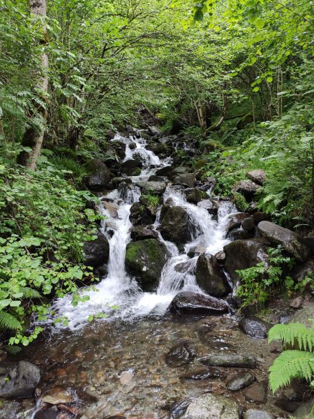 photo 21 Owner direct vacation rental Luchon Superbagneres studio Midi-Pyrnes Haute Garonne