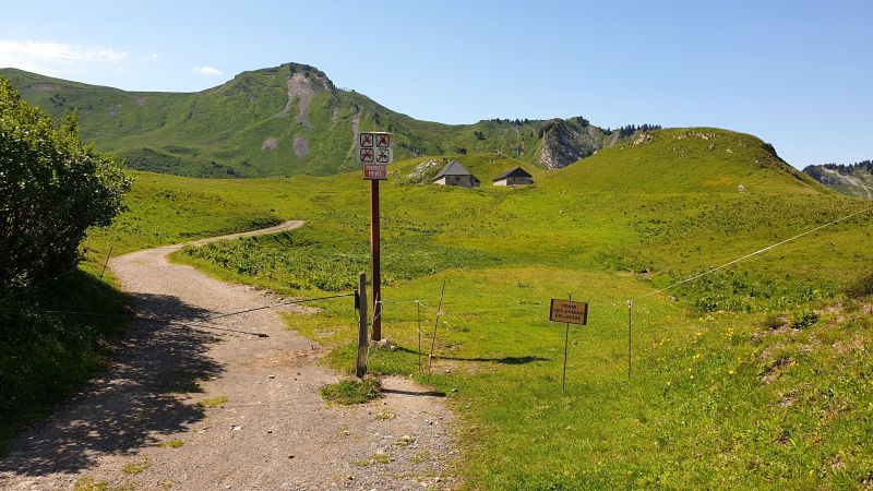 photo 13 Owner direct vacation rental Praz de Lys Sommand studio Rhone-Alps Haute-Savoie